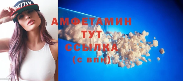 молекула духа Бронницы