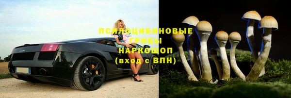 гидропоника Бугульма