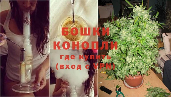 гидропоника Бугульма
