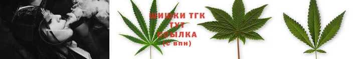 альфа пвп Бородино