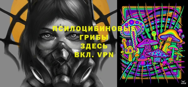 молекула духа Бронницы