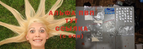 альфа пвп Бородино