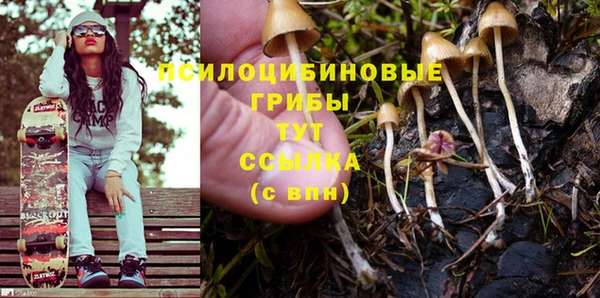 альфа пвп Бородино