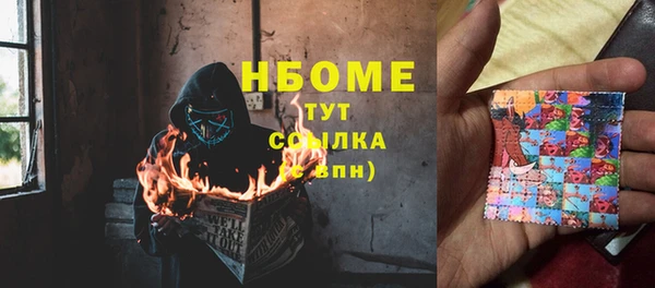 молекула духа Бронницы