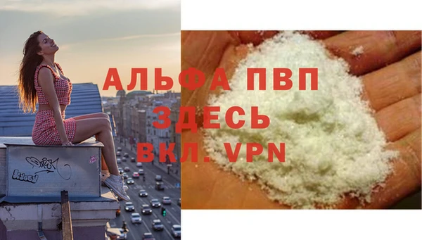 молекула духа Бронницы