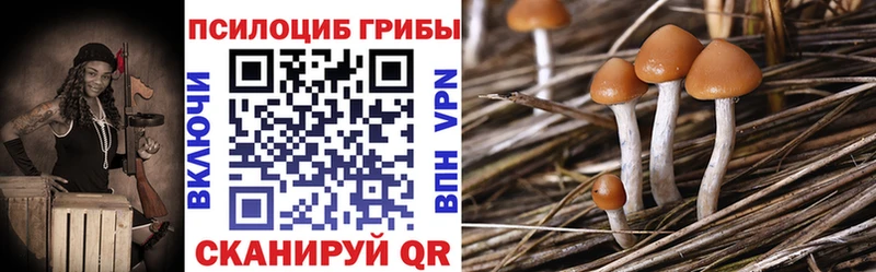 где продают   Исилькуль  Псилоцибиновые грибы GOLDEN TEACHER 
